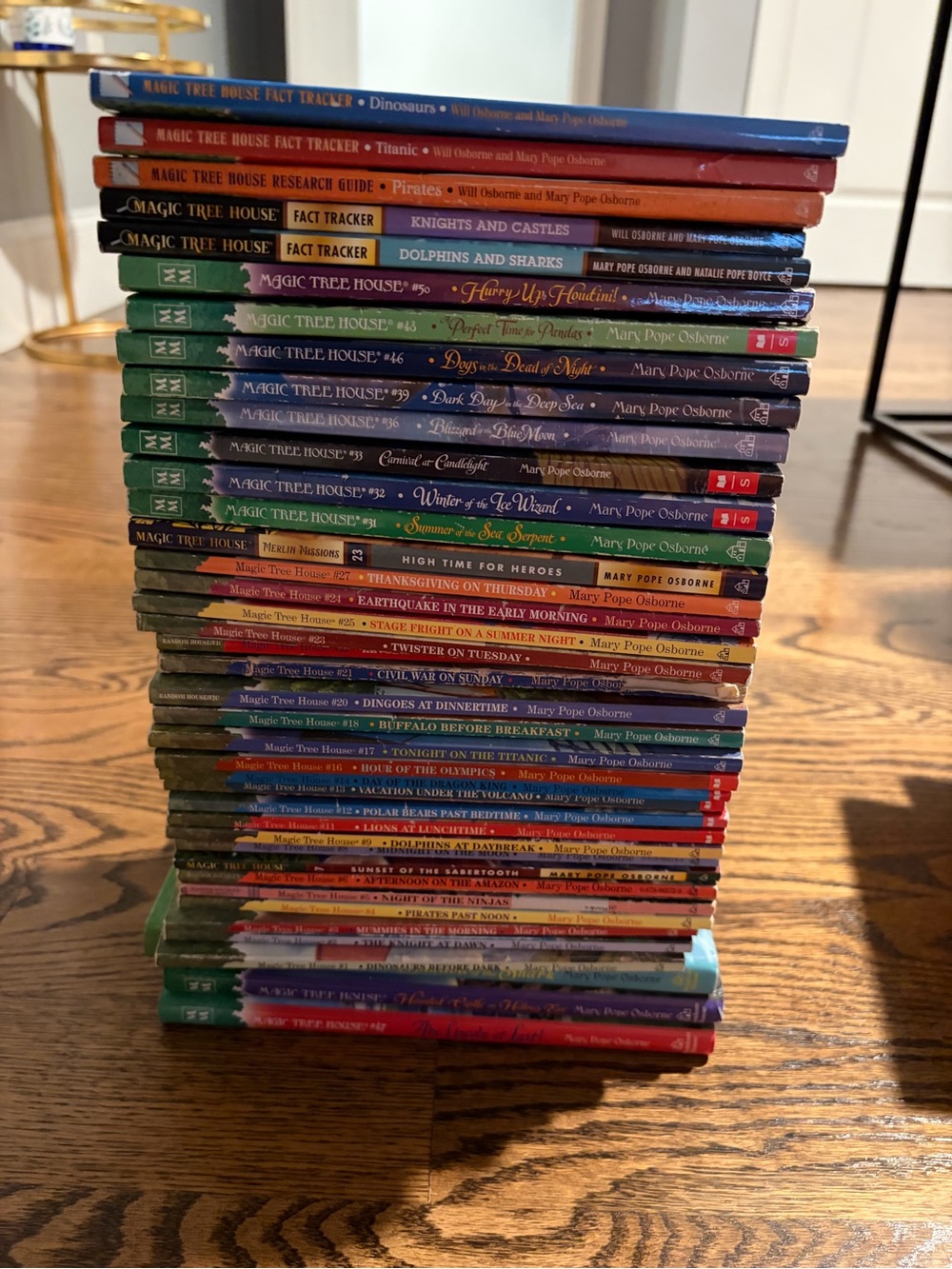 35+ Magic Tree House Book Stack Children's Chapter Books